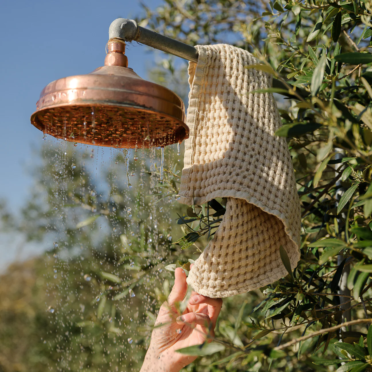 Immagine prodotto 10
