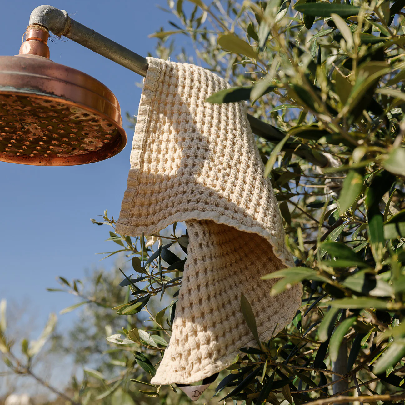 Immagine prodotto 9